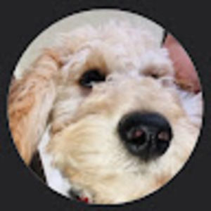 Meet your Posher, Jonah